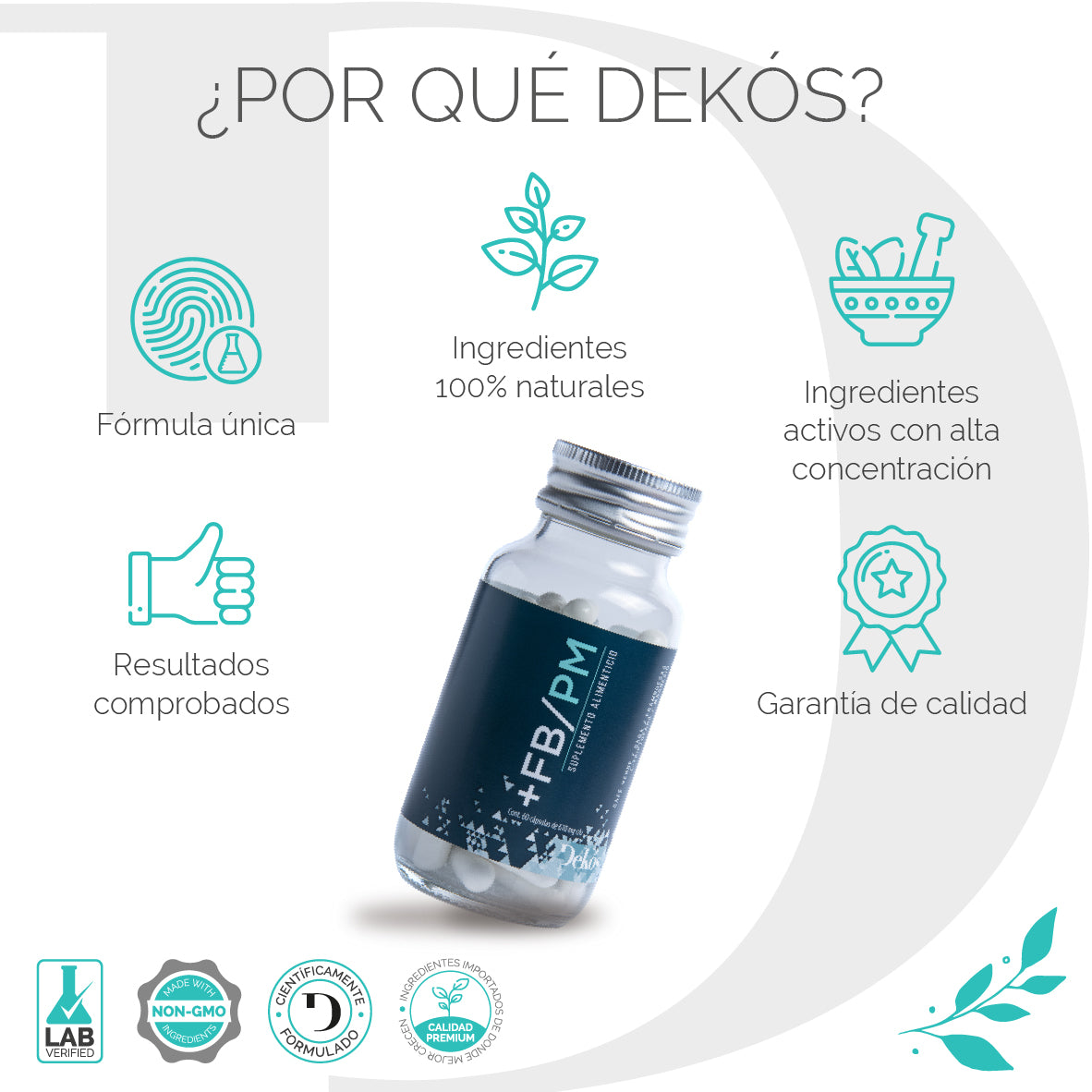 Fat Burner PM Dekos