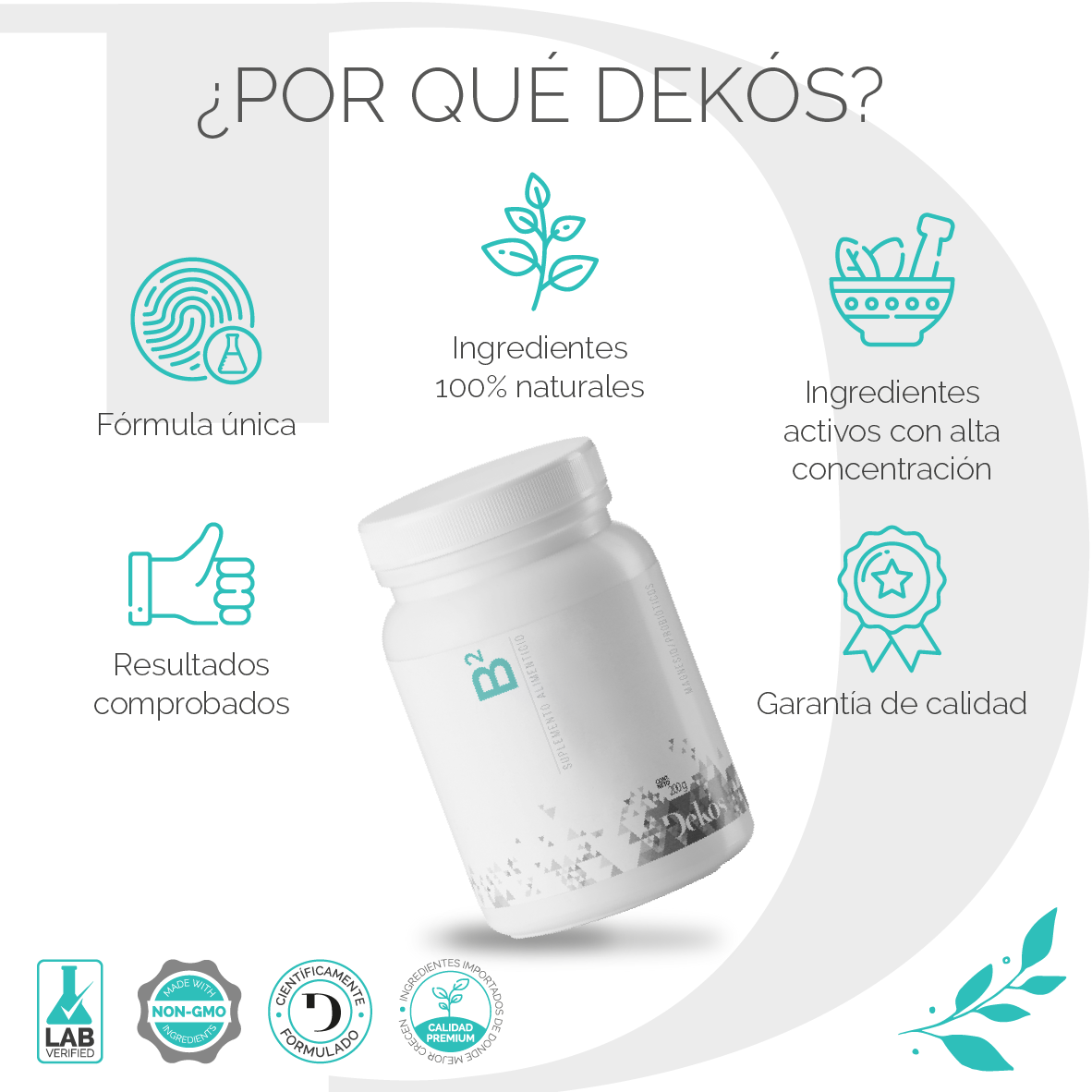 dekos_amazonB2-2 (2)