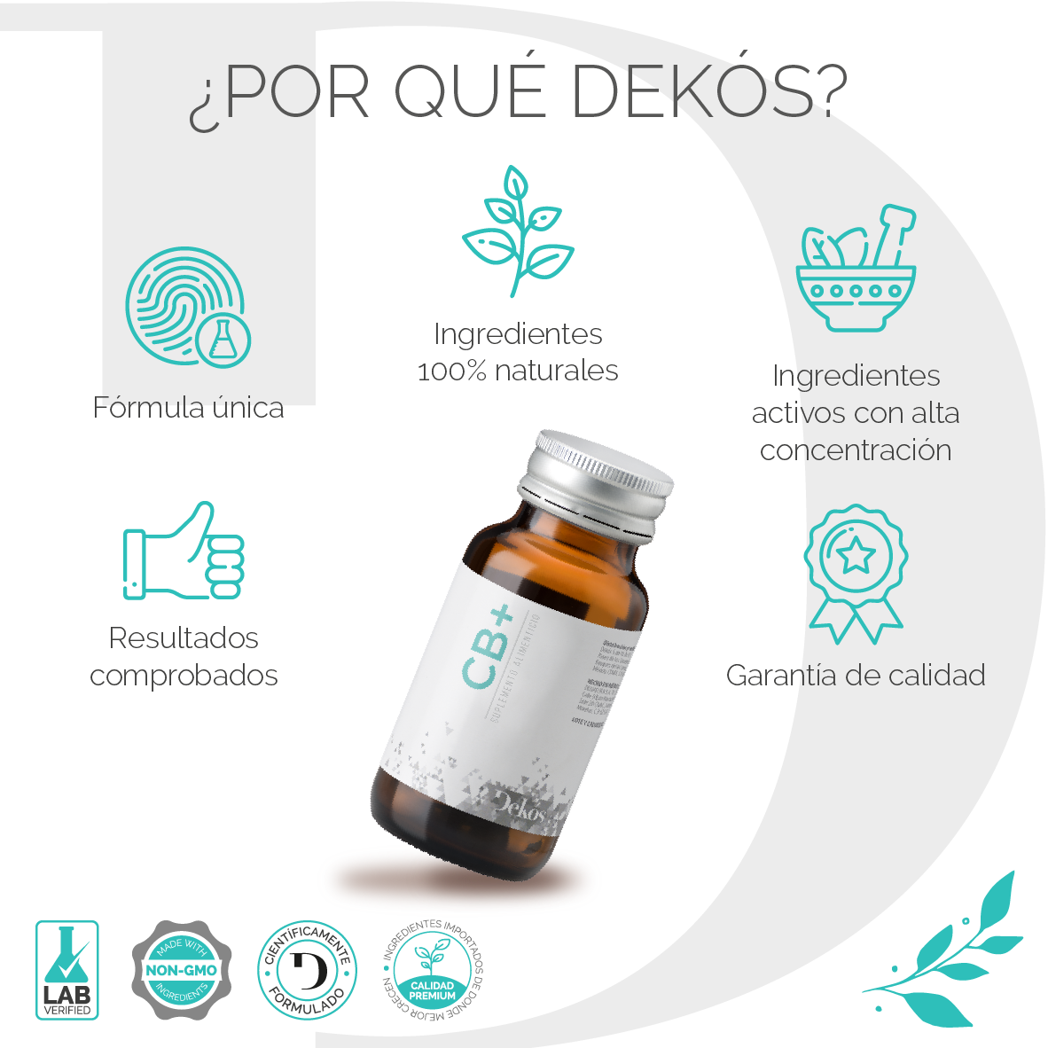 dekos_amazonCB2 (1)