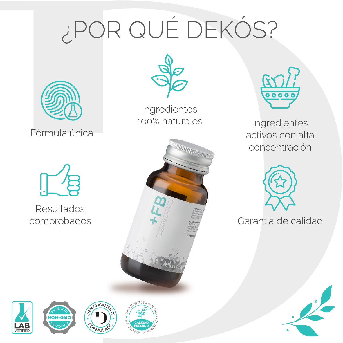 dekos_amazonFB2 (2)